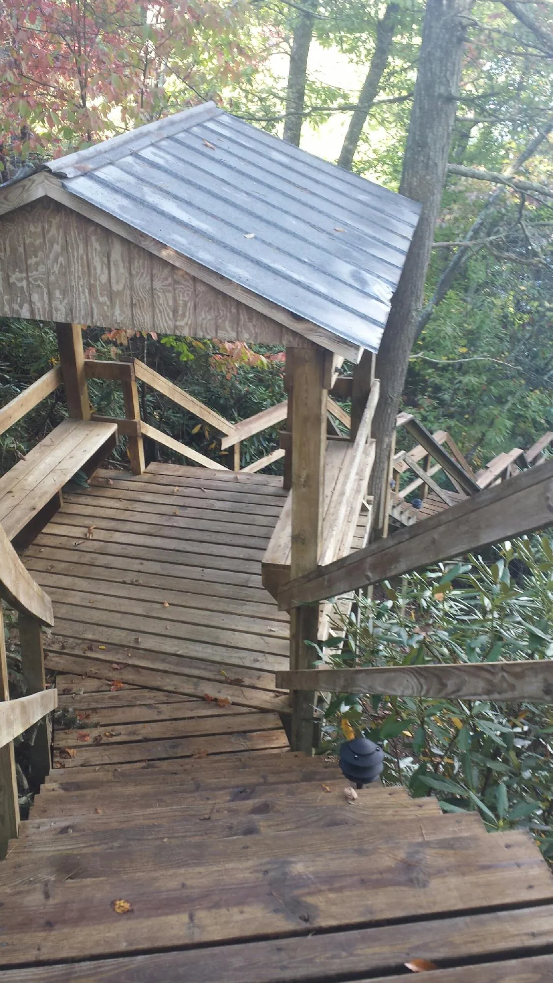 Metal roofed shelter over wooden steps on a wooded walkway — Skylight Repair & Installation work by our crew in Flora